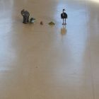 Camerata 2025 (2).jpg