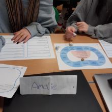 MicrosoftTeams-image (14).jpeg