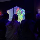 WhatsApp Image 2026-02-05 at 17.10.48.jpeg