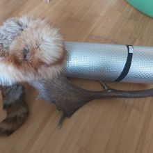 Eric R. 7G_Installtaion mit organischem Material.jpeg