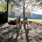 Waldtag Sonne (1).jpg