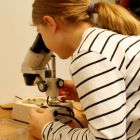 mikroskopieren cosima.jpg