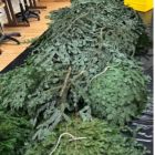 Adventkranzbinden 3.jpg