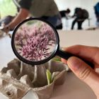 WhatsApp Image 2024-10-10 at 13.37.32 (3).jpeg