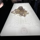 WhatsApp Image 2026-02-05 at 08.35.26 (3).jpeg