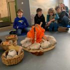 Geschichte - Haus der Natur 7.jpeg