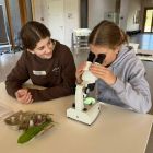 WhatsApp Image 2024-10-10 at 13.37.32 (5).jpeg