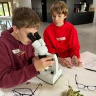 WhatsApp Image 2024-10-10 at 13.37.32 (6).jpeg