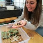 käfer und quiyen.jpg