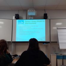 MicrosoftTeams-image (13).jpeg