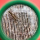 WhatsApp Image 2024-10-10 at 13.37.32 (2).jpeg