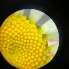 WhatsApp Image 2024-10-10 at 13.37.32 (7).jpeg