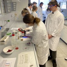 Uni Labor 3 Kopie.jpg