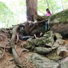 julius und Sarah im Wald.jpg