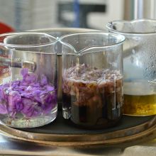 Naturwissenschaft & Kunst.jpg